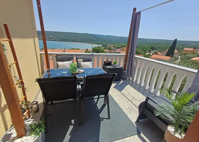 16 Cizici