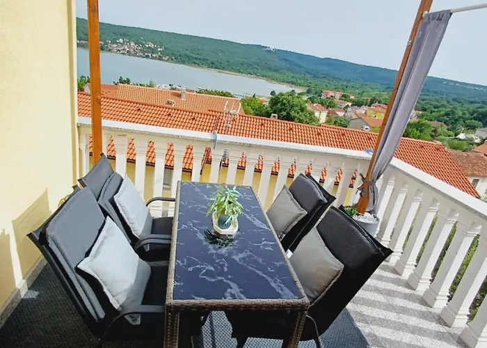 16 Cizici