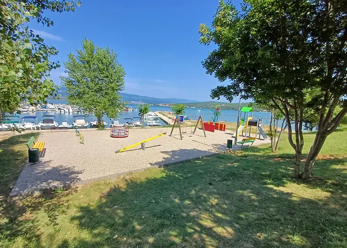 16 Cizici