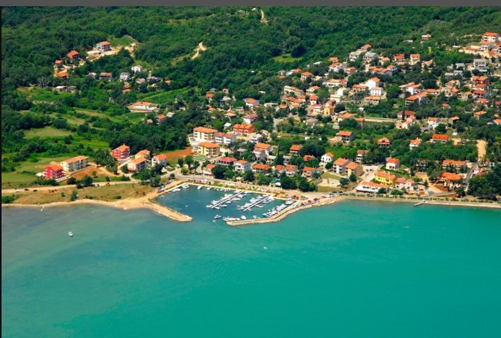 16 * Cizici