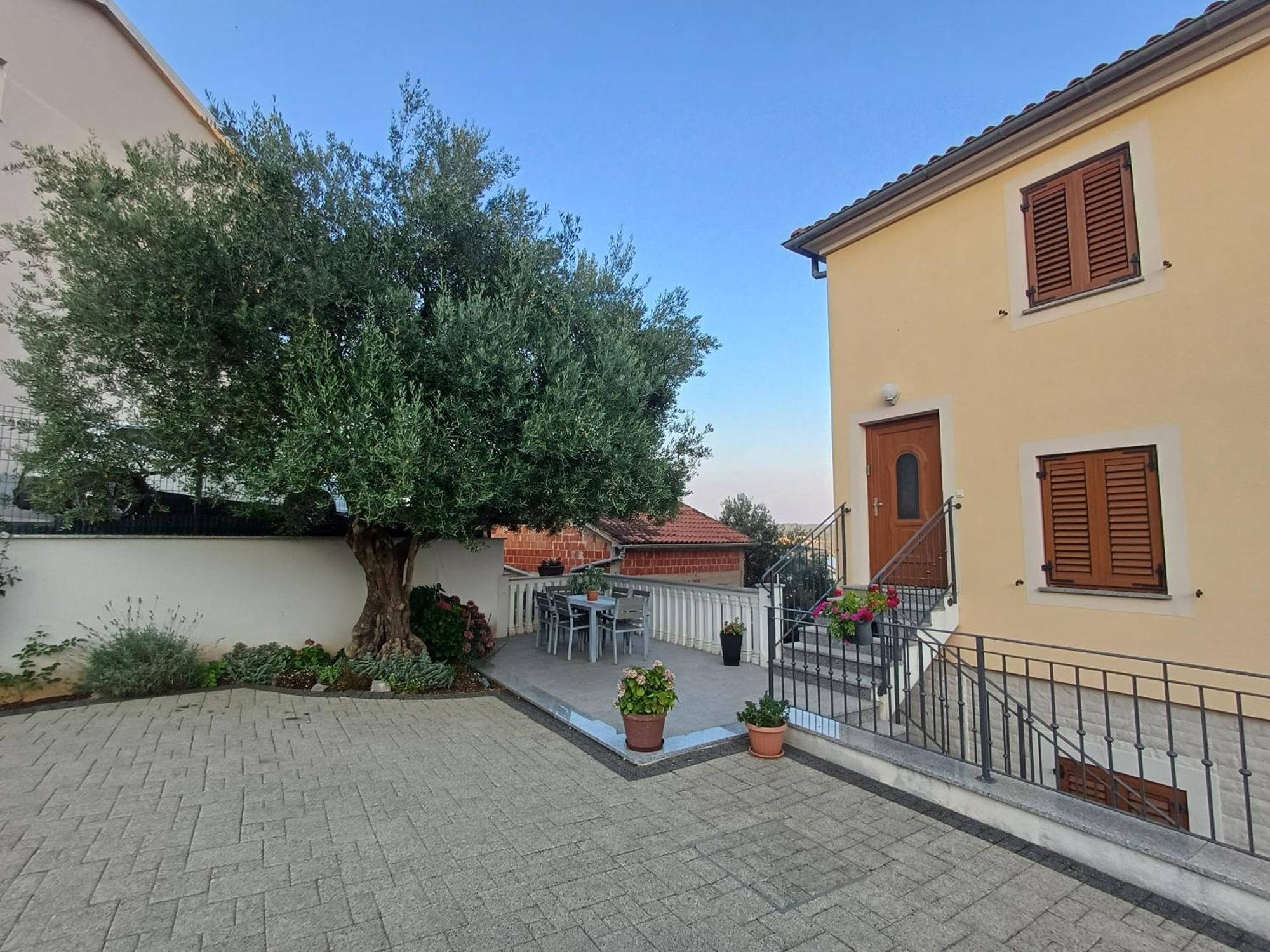 16 Cizici